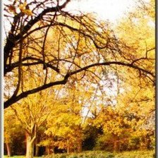 Схема вышивки «осенний парк - модуль2»