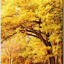 Схема вышивки «осенний парк - модуль3»