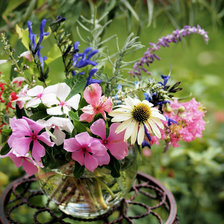 Схема вышивки «полевые цветы»