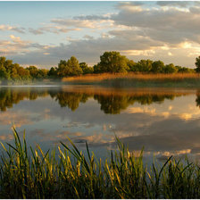 летний вечер