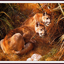 Схема вышивки «Пумы»