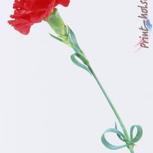 Схема вышивки «гвоздика»