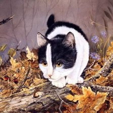 Схема вышивки «Киса»