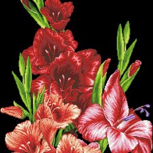 Схема вышивки «Гладиолусы»