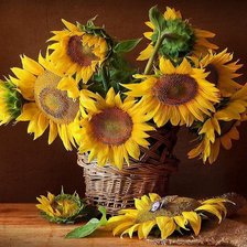 Схема вышивки «№899405»