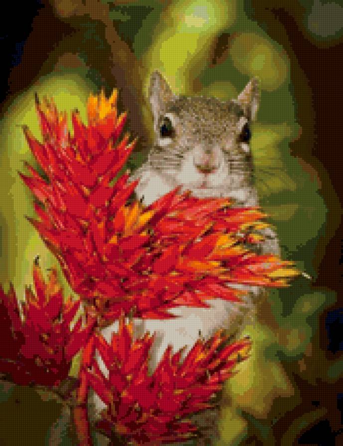 белочка - животные - предпросмотр