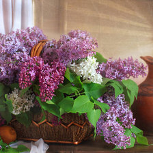 Схема вышивки «сирень»