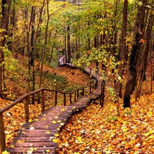 Схема вышивки «Мост в осеннем парке»