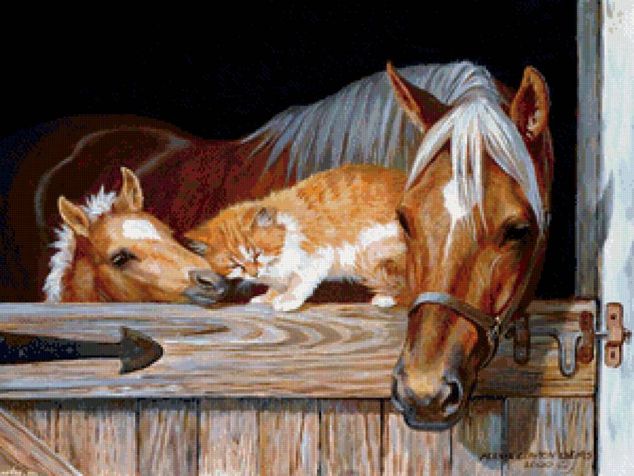 друзья - природа, кошка, лошадь, живопись, жеребенок, животное, дружба - предпросмотр