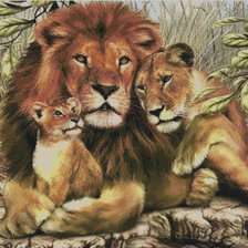 семья львов