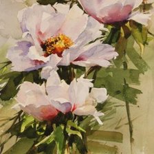 Схема вышивки «пионы»