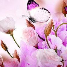 Схема вышивки «Бабочка на розах»