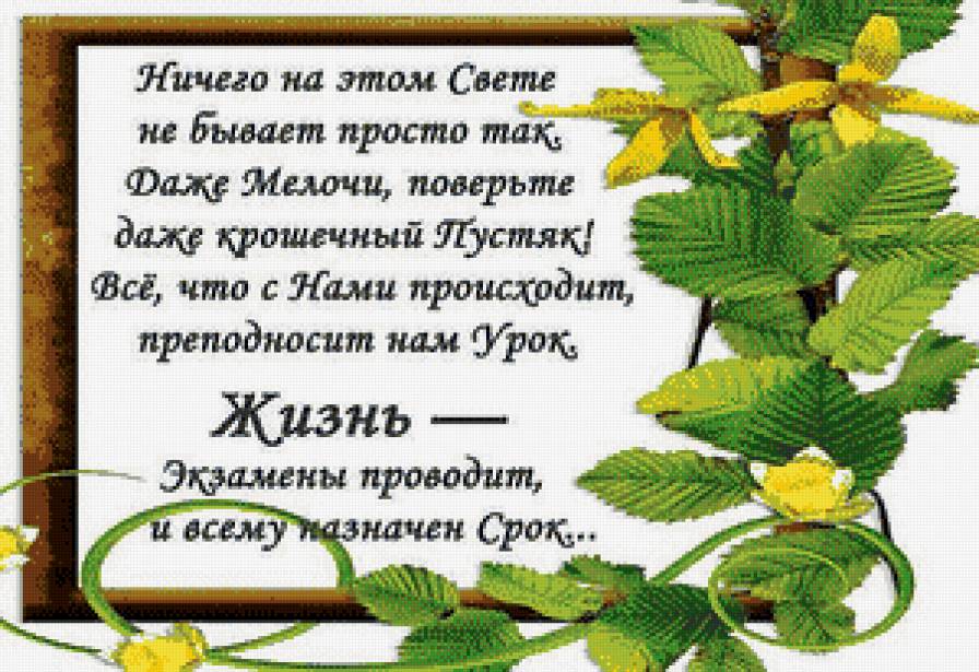 жизнь- экзамен - экзамен, мысли, жизнь, стихи - предпросмотр