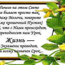 Схема вышивки «жизнь- экзамен»