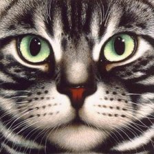 Схема вышивки «000002»