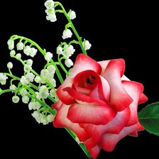 Схема вышивки «серия "цветы"»