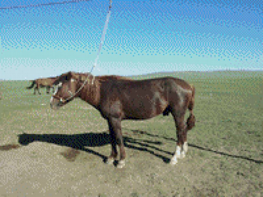 Otgoo - mori - предпросмотр