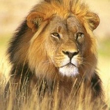 Схема вышивки «№899962»