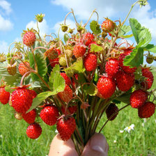 Схема вышивки «№899982»