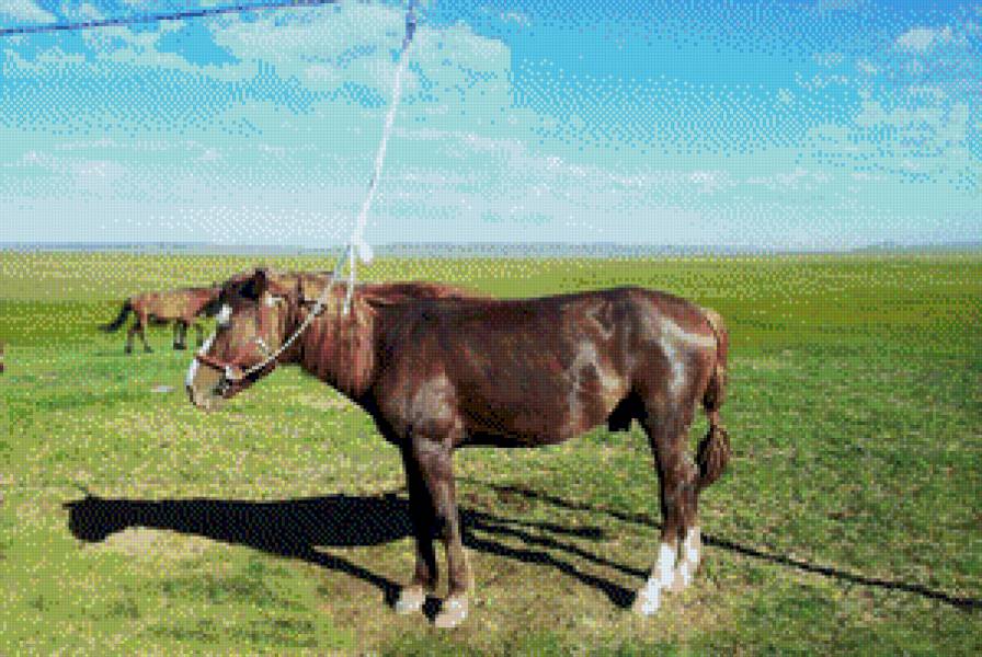 Otgoo - mori - предпросмотр