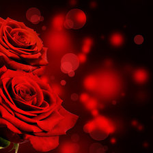 Схема вышивки «Красные розы»