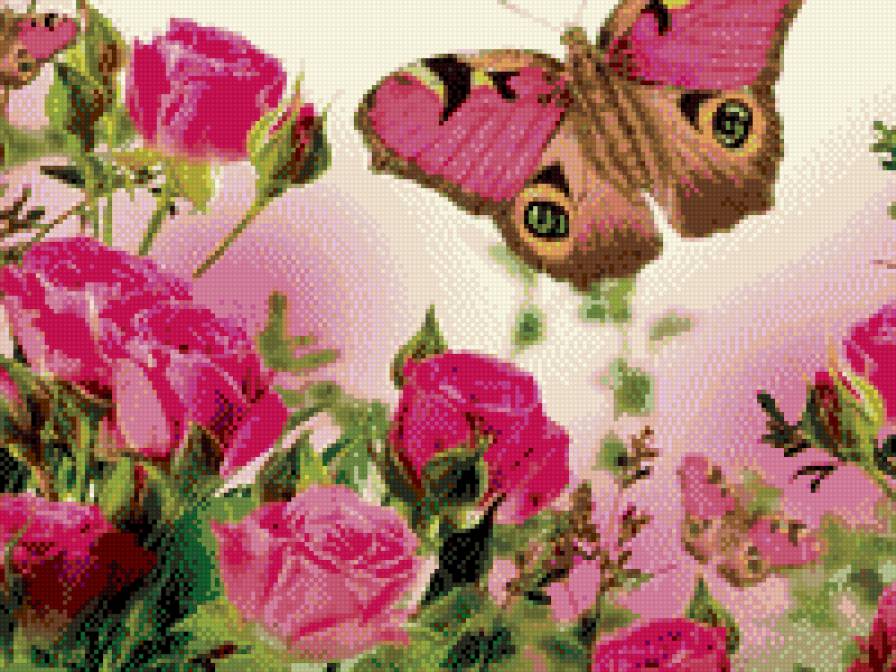 Розы и бабочки - бабочки, розы, цветы - предпросмотр