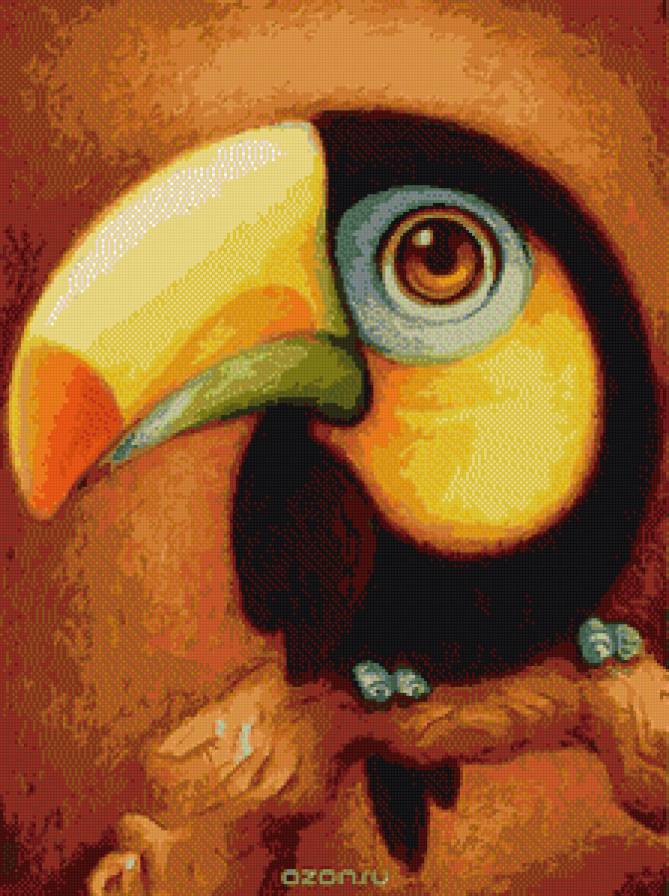 Тукан - предпросмотр