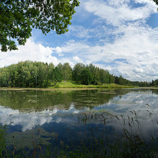 Схема вышивки «пруд в Абрамцево»