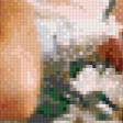 Предпросмотр схемы вышивки «зачарованные..» (№900219)