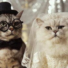 Схема вышивки «Пара»