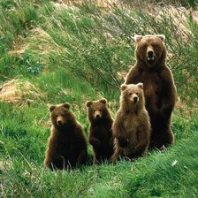 Схема вышивки «Семья»