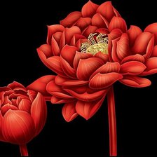 Схема вышивки «№900252»