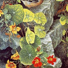 Схема вышивки «Бейтман Королек»