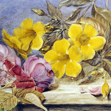 Схема вышивки «№900700»