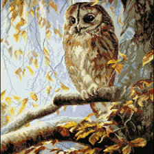 Схема вышивки «сова»