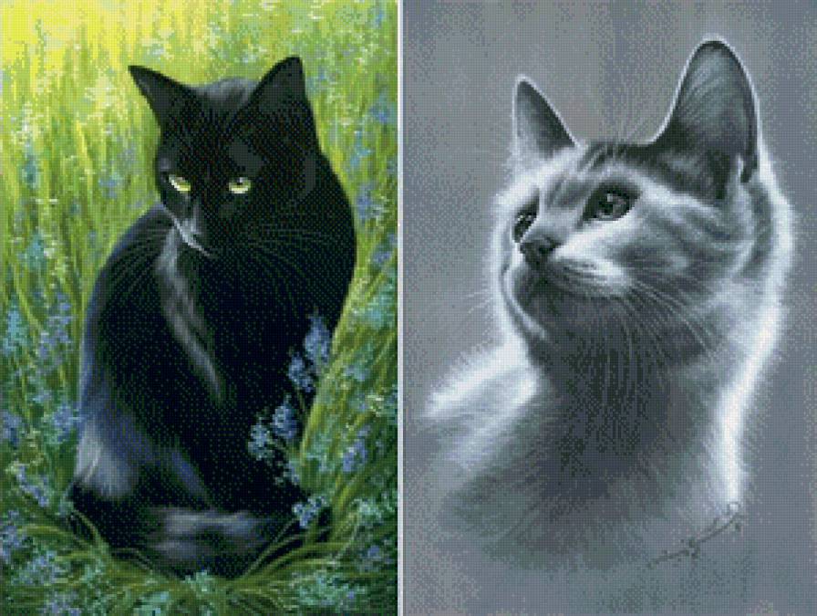 пара - коты, кот - предпросмотр