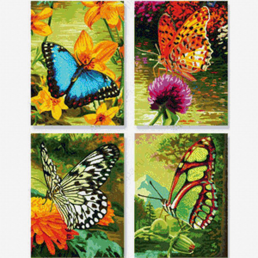 бабочка - бабочка, цветы - предпросмотр