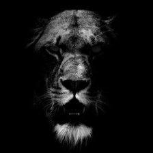 Схема вышивки «Лев»