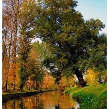 Схема вышивки «осенний мотив»