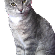 Схема вышивки «Мой котик.»