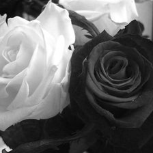 Схема вышивки «Розы»