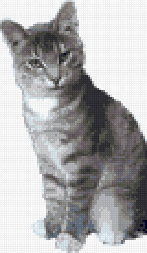 Мой котик. - животные, котята, кошки - предпросмотр