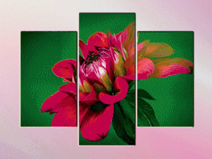 триптих- георгин - георгин, цветок, триптих - предпросмотр