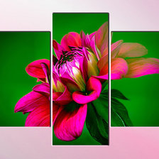 Схема вышивки «триптих- георгин»