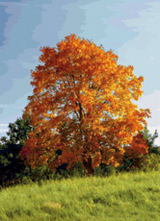 осень - природа, осень, дерево, пейзаж - предпросмотр