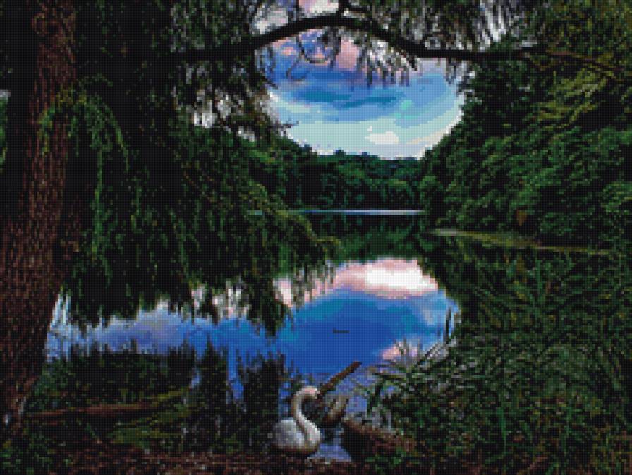 На берегу реки - пейзаж, лебедь, лес, река, природа - предпросмотр