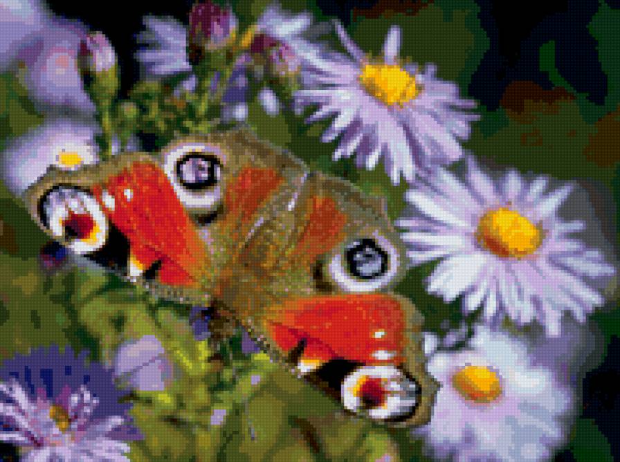 бабочка - бабочки - предпросмотр