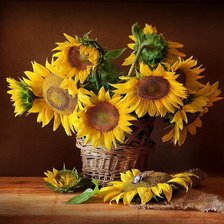 Схема вышивки «подсолнухи»