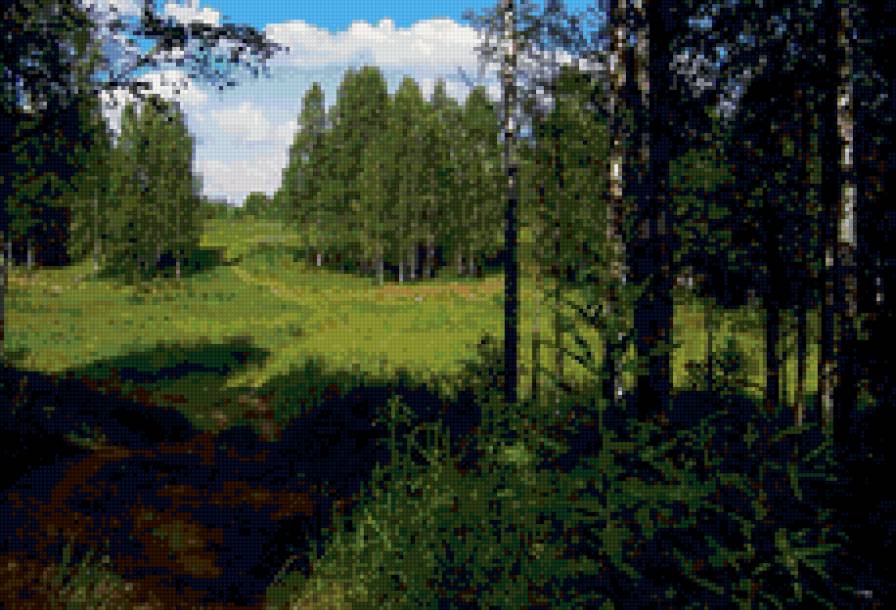 лесная поляна - пейзаж, поляна, лес, природа - предпросмотр