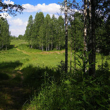 Схема вышивки «лесная поляна»